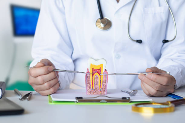 Best Urgent Care for Lost Fillings or Crowns in Tobaccoville, NC